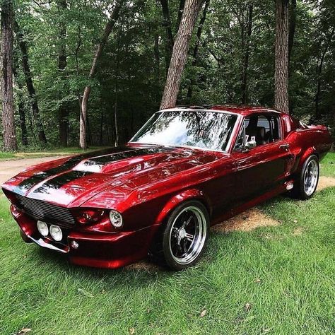 Auto Jeep, Shelby Mustang Gt500, Shelby Gt 500, Gt 500, Vintage Jeep, Mustang Gt500, Shelby Mustang, Shelby Gt, Ford Classic Cars