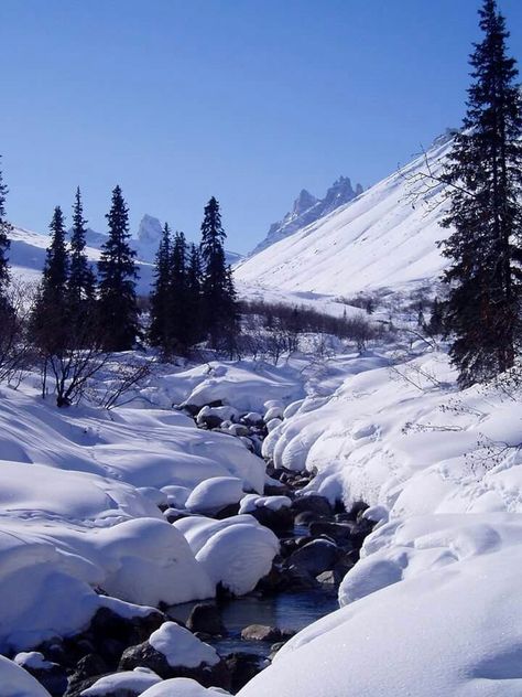 Gates of the Arctic National Park, Alaska Gates Of The Arctic National Park, Arctic Scenery, Arctic Wallpaper, Arctic Aesthetic, Arctic Photography, Arctic Plants, Arctic Mountains, Alaska Snow, Canadian Arctic