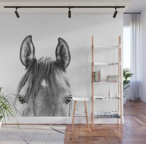 Equestrian Bedroom, Girl Horse Room, Horse Mural, Horse Bedroom, Horse Photo, Equestrian Decor, Removable Wall Murals, Horse Decor, Horse Wall