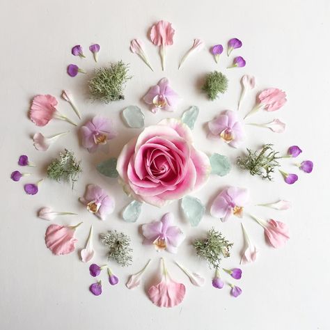 I made a mandala DIY for the @urbanoutfitters blog! Sea glass, lichen, and soft pinks and purples are so pretty together! Nature Mandala, Floral Styling, Deco Nature, Texture Photography, Mandalas Design, Flower Petal, Arte Floral, Sun Rays, Flower Mandala