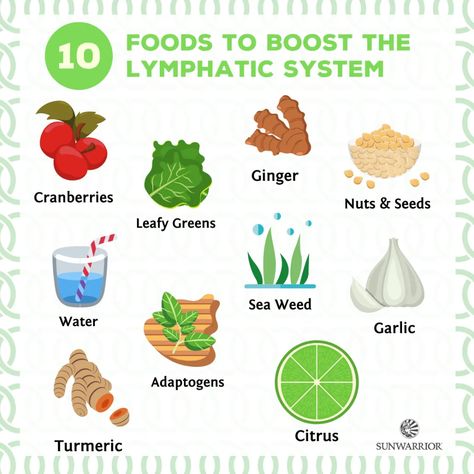 10 Foods to Boost the Lymphatic System for Improved Health Health Infographic, Easy Juice Recipes, Lymph Massage, Lymph System, Lymph Drainage, Lymph Nodes, Lifestyle Quotes, Circulatory System, Natural Health Remedies