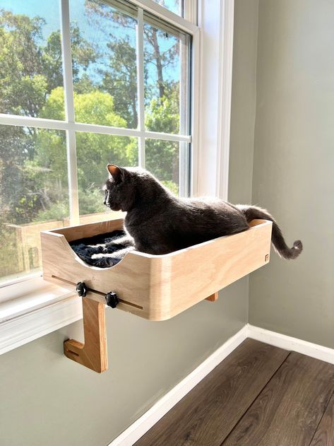 20x14 Wider Space & Happier Cats_cat Window Perch_sturdy-safe Support Legs_installed-removed 1 Minute_no Tools No Nails_cat Lover Gift - Etsy Cat Spaces In Home, Diy Cat Window Perch, Diy Cat Window, Cat Perch Diy, Cat Window Bed, Pet Advertising, Cat Window Perch, Cat Shelf, Window Perch