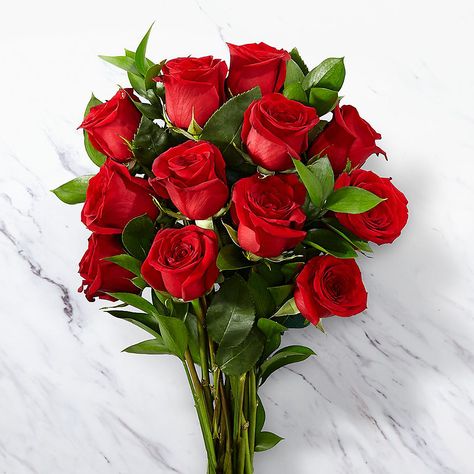 Dozen Red Roses, Love Rose Flower, Head Over Heels In Love, Rose Flower Pictures, Straight From The Heart, Flower Delivery Service, Red Rose Bouquet, तितली वॉलपेपर, Beautiful Red Roses