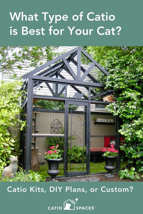 Catio Plans Design, Greenhouse Catio, Catio Plans How To Build, Diy Catio Plans Free, Simple Catio Plans, Cattio Porch, Patio Catio, Free Catio Plans How To Build, Cat Patio Enclosure