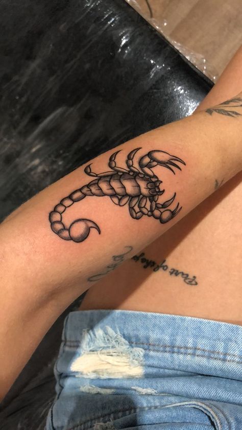 215+ King Cobra Tattoo Ideas (2023) - TattoosBoyGirl King Cobra Tattoo, Tattoos Powerful, Scorpion Tattoos, Animal Tattoos For Women, Cobra Tattoo, Minimal Tattoo Design, Scorpion Tattoo, Stylist Tattoos, King Cobra