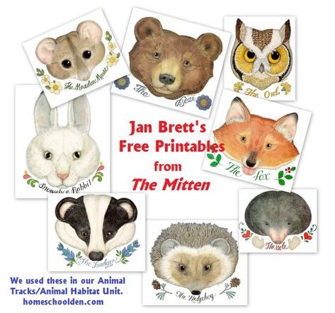 Activities based on Jan Brett's Book, The Mitten. Plus other activity ideas about the forest biome... PreK-K Mitten Book Activities, The Mitten Book Activities, The Mitten Book, The Mitten Activities, Forest Biome, Winter Theme Preschool, Animal Habitat, Jan Brett, Winter Activities Preschool