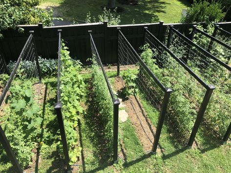 My Garden Trellis Design for Cucumbers, Tomatoes & Vertical Vegetables Vertical Zucchini Garden, Green Bean Trellis Ideas Easy Diy, Watermelon On Trellis, Veggie Garden Trellis, Wood Trellis Ideas, Circular Vegetable Garden, Bean Trellis Ideas, Blackberry Trellis Ideas, Watermelon Trellis