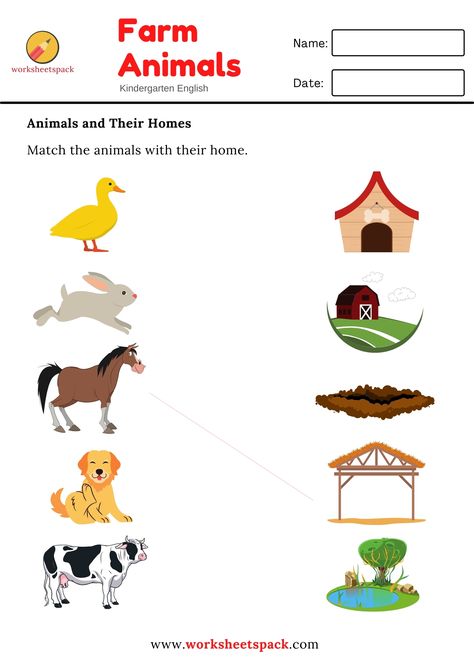 Farm animals matching worksheet. Animals House Worksheet, Where Animals Live Worksheet, Where Do Animals Live Worksheet, Animals And Their Homes Worksheets, Farm Animals And Their Homes, January Preschool Worksheets, Farm Worksheet, Rabbit Burrow, Animals And Their Homes