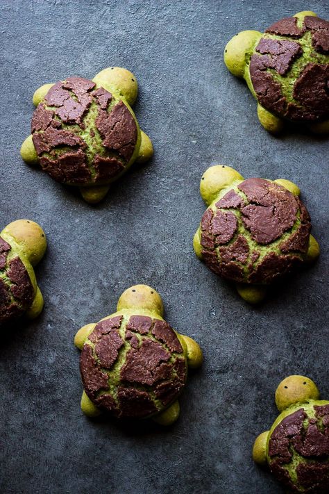 matchamilkbreadturtles4 Matcha Milk Bread, Matcha Bread, Hokkaido Milk Bread, Crunch Recipe, Matcha Milk, Matcha Chocolate, Matcha Recipe, Milk Bread, Chocolate Bread