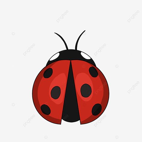 Ladybug Insect Drawing, Ladybug Animal, Ladybug Clipart, Cartoon Ladybug, Ladybug Drawing, Red Insects, Bugs Drawing, Red Clipart, Insect Clipart