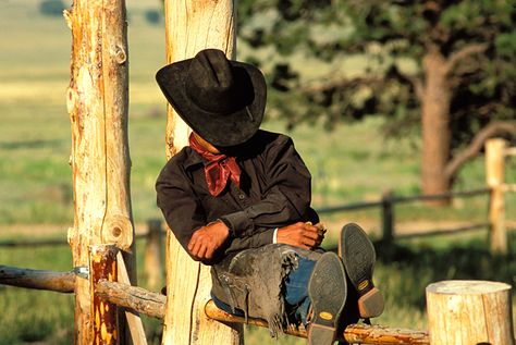 Cowboy napping Native Cowboy, Cowboy Culture, Aesthetic Western, Doggie Treats, Cowboy Aesthetic, Timeless Outfits, John Denver, Cowboy Up, Western Aesthetic