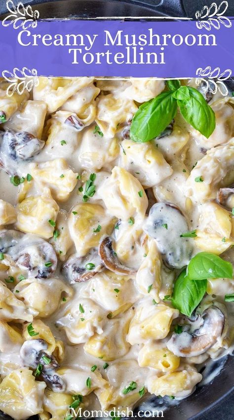 This creamy mushroom tortellini takes 35 short minutes to prepare and is made all in one pan. Perfect for a no-fuss, hectic weeknight dinner! Tortellini And Mushrooms, Tortellini With Mushroom Cream Sauce, Tortellini Mushroom Soup, Mushroom Tortellini Recipes, Creamy Mushroom Tortellini, Tortellini Sauce Recipes, Mushroom Tortellini Soup, Baked Tortellini Alfredo, Mushroom Tortellini