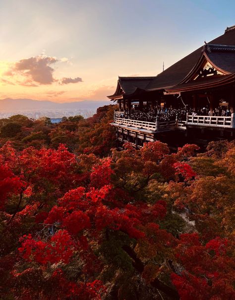 Beautiful Kyoto fall colors by nastikplastik The post Beautiful Kyoto fall colors appeared first on Alo Japan. Autumn In Kyoto, Japanese Autumn Aesthetic, Japan Autumn Aesthetic, Kyoto Aesthetic, Fall In Japan, Fall Japan, Japan Place, Kyoto Autumn, Japan Scenery