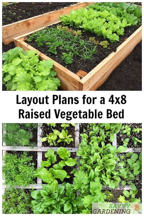 Not sure how many plants you can fit in a standard raised vegetable bed? These layout plans show you how to properly space plants for a great harvest. #vegetablegardening #gardening Raised Bed Vegetable Garden Layout, Planting Layout, Raised Garden Beds Diy Vegetables, Garden Bed Layout, Raised Vegetable Gardens, Vegetable Beds Raised, Vegetable Garden Raised Beds, Garden Layout Vegetable, Small Vegetable Gardens