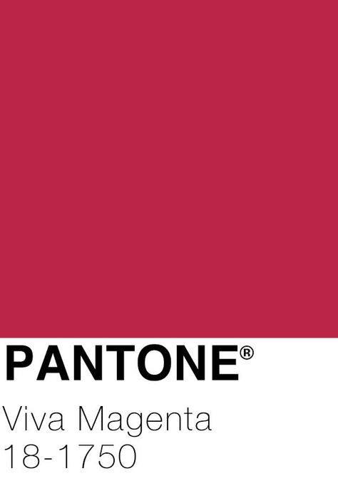 Vivid Magenta, Pantone Color Of The Year, Viva Magenta, Boutique Interior Design, French Cinema, Color Story, Boutique Interior, Color Stories, Color Of The Year