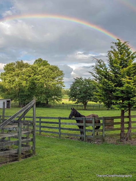 Iron Horse Farm - Hall and Hall Small Horse Farm, Beautiful Farms, Farm Aesthetic, Canada Country, Green Aesthetics, Luxury Ranch, I Asked God, Montana Ranch, Farm Land