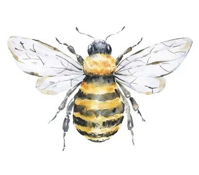 Bee Printables, Bee Drawing, Bee Painting, Bee Illustration, Engraving Illustration, Watercolor Projects, Bee Art, Art Instructions, Easy Watercolor