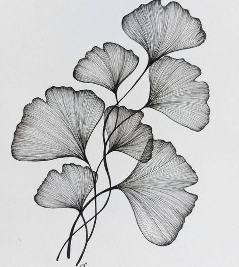 Leaves Sketch, Flower Drawing Tutorials, Pen Art Drawings, Drawing Examples, Black And White Art Drawing, Flower Art Drawing, Flower Sketches, Leaf Drawing, Zen Art