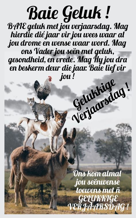 16de Verjaarsdag Wense, Verjaarsdag Wense Vir Kleinseun, Afrikaanse Verjaarsdag Wense Vir Vroue, Verjaarsdag Mans, Manlike Verjaarsdag Afrikaans, Verjaardag Wense, Happy Birthday Wishes Friendship, Lekker Verjaar, Verjaarsdag Wense