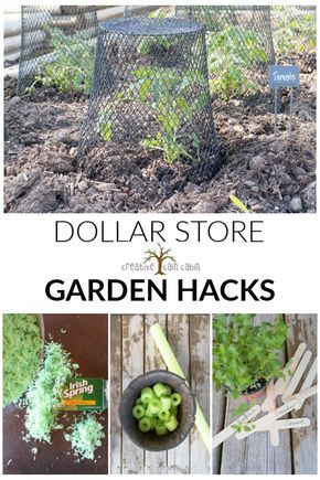 Aesthetic Gardening, Taman Diy, Diy Container Gardening, Gardening Aesthetic, Strawberry Garden, Garden Hacks, Gardening Hacks, Garden Wallpaper, Gardening Outfit