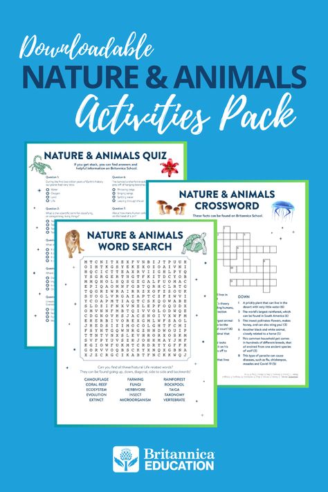 Discover what you know… and what you don’t! Get ready for an exciting brain workout with our Nature & Animals Activity Pack. Perfect for curious minds aged 8+, this pack is your ticket to an adventure-filled afternoon. #downloadables #printables #worksheets #teachertools #summeractivities #teaching #classroomactivities #classroom Brain Workout, Cub Scouts Wolf, Teaching Weather, Animal Quiz, Summer Learning, Animal Activities, Forest School, Student Organization, Cub Scouts