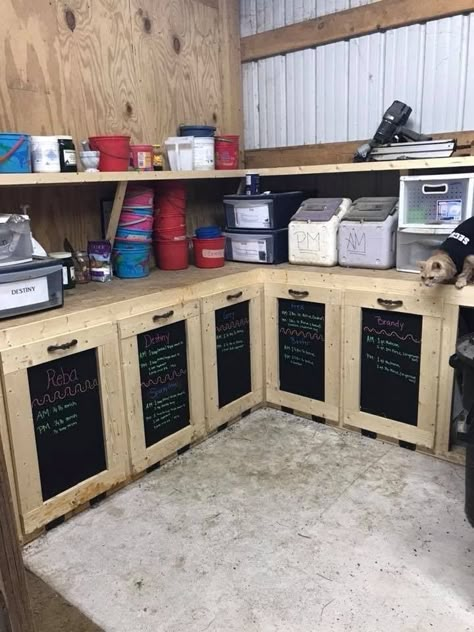 Diy Horse Feed Storage, Horse Wash Bay Ideas, Feed Rooms For Horses, Horse Grain Storage Ideas, Horse Stall Design, Barn Setup Ideas, Horse Feed Room Organization, Horse Feed Room Ideas, Horse Boarding Facility Ideas