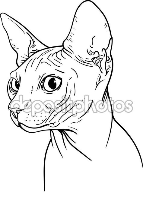 Sphynx Cat Art, Sphynx Cat Tattoo, Sphinx Tattoo, Cat Vector Illustration, Chat Sphynx, Cat Tattoo Simple, Puppy Sketch, Pony Rider, Silhouette Cameo Crafts