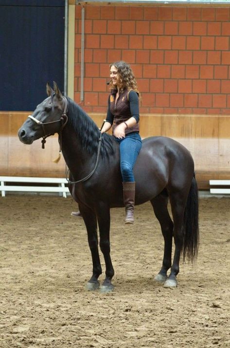 Woman Riding Horse, Bareback Riding, Yacht Sailing, Horse Riding Outfit, Cow Boys, Equestrian Aesthetic, Horse Inspiration, Most Beautiful Horses, Clydesdale