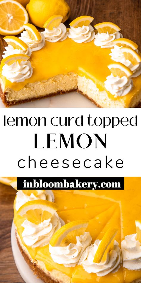 This is the best lemon cheesecake recipe! It's a simple recipe for creamy and tart, lemon cheesecake with a graham cracker crust, topped with lemon curd. This cheesecake is the perfect dessert for all the lemon lovers in your life! Lemon Topping For Cheesecake, Small Lemon Cheesecake, Lemon Curd Cheesecake Recipe, Best Lemon Cheesecake Recipe, Cheesecake With Lemon Curd, Best Lemon Cheesecake, Meyer Lemon Cheesecake, Lemon Cheesecake Recipe, Lemon Curd Cheesecake