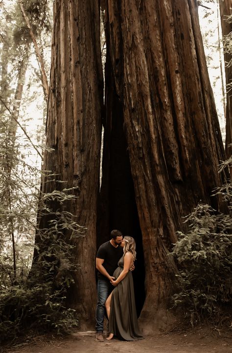 Redwoods Maternity Photos, California Maternity Photos, Redwood Maternity Photos, Hiking Maternity Photos, Yosemite Maternity Photos, Forrest Maternity Shoot, Forest Pregnancy Photoshoot, Maternity Photography Woods, Maternity Photography Forest