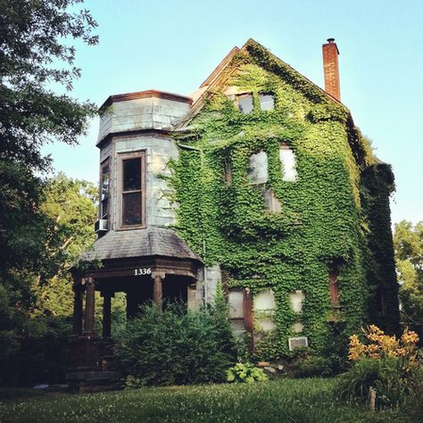 #Old #House covered in vines Mansion Homes, Old Abandoned Houses, Ivy House, My Old Kentucky Home, Abandoned House, Abandoned Mansions, Haunted Places, Abandoned Buildings, Old Buildings