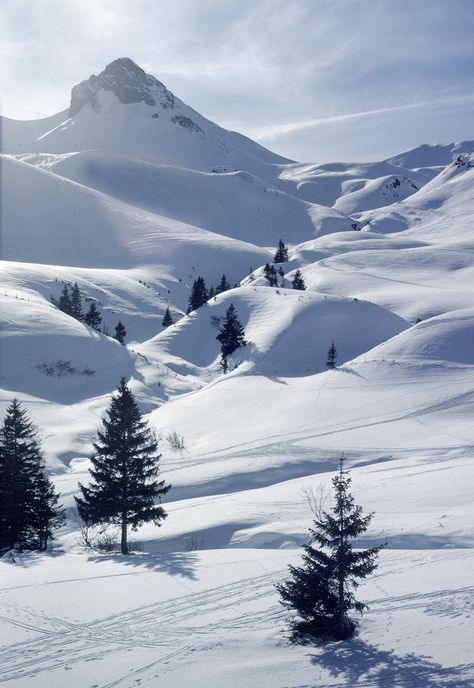 Snow Covered Mountains, Snow Valley, Adelboden, Winter Schnee, Winter Szenen, Wallpaper Bts, Winter Scenery, Winter Beauty, Snow Scenes