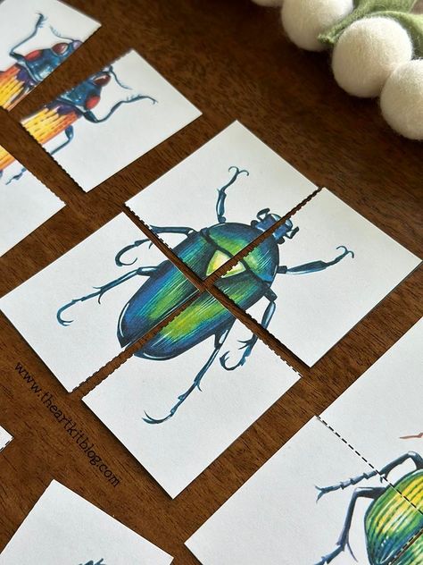 Beetle Activities For Preschool, Beetle Crafts For Kids, Free Bug Printables, Free Bug Printables For Preschool, Beetle Crafts Preschool, Insect Crafts Preschool Bug Activities, Beetle Craft, Insects Activities, Heart Group