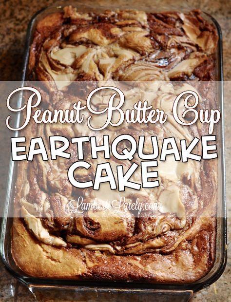 Peanut Butter Cup Earthquake Cake - Lamberts Lately Earthquake Cake Recipes, Earthquake Cake, Cake Ball, Chocolate And Peanut Butter, Peanut Butter Desserts, Peanut Butter Frosting, Butter Frosting, Peanut Butter Cup, Oreo Dessert