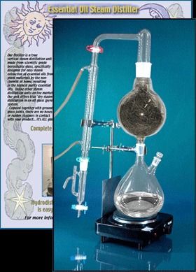 Essential Oil Steam Distillation - HeartMagic Steam Distiller - Distill and extract your own essential oils at home! Essential Oil Still, Oil Distiller, Essential Oil Distiller, Cider Making, Making Essential Oils, How To Make Oil, Steam Distillation, Essential Oils Herbs, Steam Generator