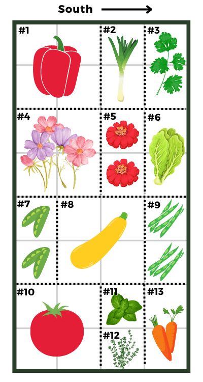 Raised Garden Plans Layout, Raised Garden Bed Template, Standing Garden Beds Layout, 4x8 Garden Layout, 4x8 Vegetable Garden Layout, 2 X 8 Raised Garden Bed Layout, 4x6 Garden Layout, 20 X 20 Garden Layout, Small Garden Bed Layout