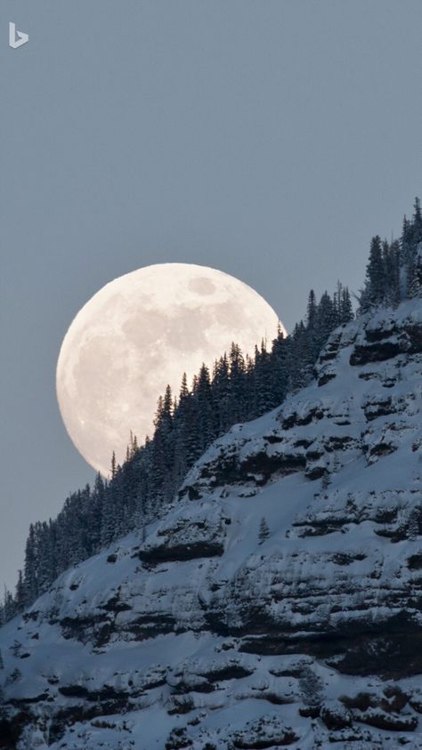 Moon In Winter, Relaxing Photos, Daily Picture, Winter Moon, Shoot The Moon, Night Forest, Moon Pictures, Scenic Photography, Winter Wood