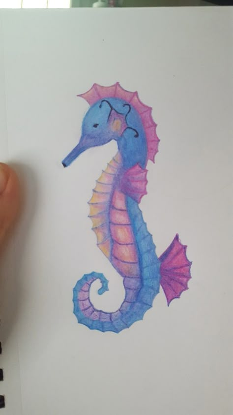 Aesthetic Color Pencil Drawing, Sea Horse Drawings, Seahorse Drawing Easy, Sea Horse Drawing Easy, Sea Horse Painting, Sea Horse Drawing, Sea Horse Art, Seahorse Drawing, Starfish Colors