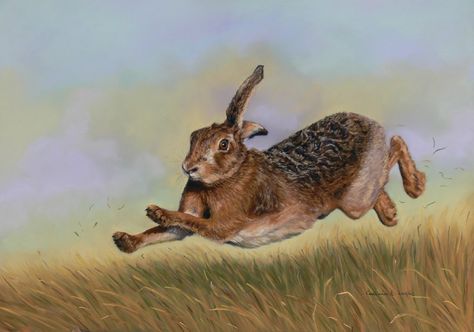 Hare Pictures, Running Hare, Hare Painting, Wild Hare, Rabbit Pictures, Animal Action, Rabbit Run, Rabbit Art, Bunny Art