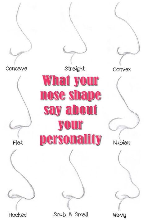 What your nose shape say about your personality | Style Idea Greek Nose, 1000 Lifehacks, Straight Nose, Face Reading, Button Nose, Nose Shapes, Word Online, School Communication, Strong Mind