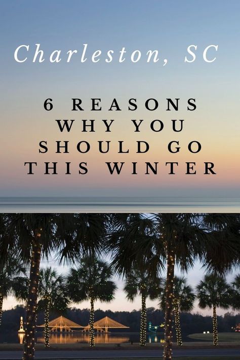 Charleston Christmas, Feeling Nostalgic, South Carolina Beaches, Winter Beach, Christmas Light Displays, Coastal Carolina, Isle Of Palms, Visit Santa, My Childhood