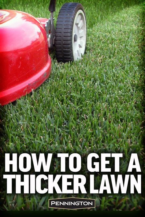 Spring Lawn Care, Diy Lawn, Lawn Care Tips, Aerate Lawn, Lawn Service, Lush Lawn, Healthy Lawn, Lawn Maintenance, Lawn And Landscape