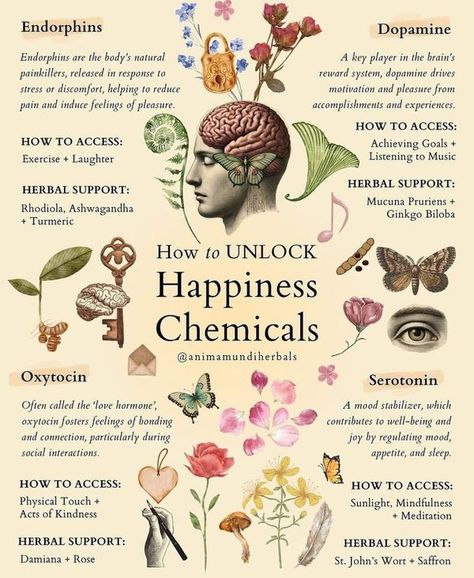 Monica Bermudez Dopamine And Serotonin, Dopamine Serotonin, Happy Chemicals, Spiritual Consciousness, Mood Stabilizer, Happiness Comes From Within, Healing Recipes, Reward System, Mood Boosters