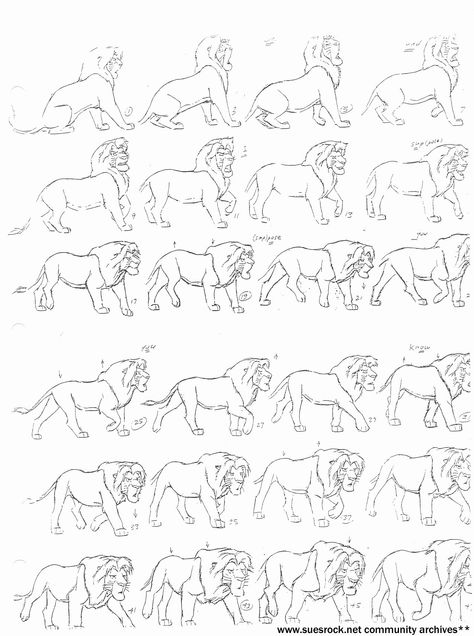 Simba walks. Lion King Quadruped Walk Cycle, Lion Walking Drawing, How To Draw Lion King, Lion Walk Cycle, Lion King Reference, Lion Poses, Lion King Animation, Lion Animation, Lion King Drawing