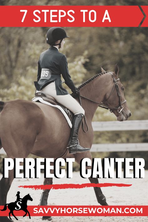 How to Canter a Horse in 7 Simple Steps - Savvy Horsewoman Horseback Riding Exercises, Equestrian Lifestyle Aesthetic, Horse Riding Exercises, Centered Riding, Riding Exercises, Dressage Exercises, Horseback Riding Tips, Horse Back Riding, Horseback Riding Lessons