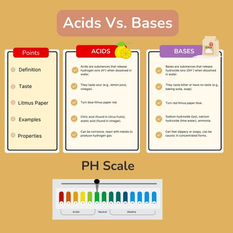 difference between acid and bases #chemistry#scienceforkids#kids#acid#bases#science#chemistrycorner Acids Bases And Salts, Lime Water, Movie Room Decor, Acid Base, Biology Notes, Acetic Acid, Movie Room, Citrus Fruit, Biology