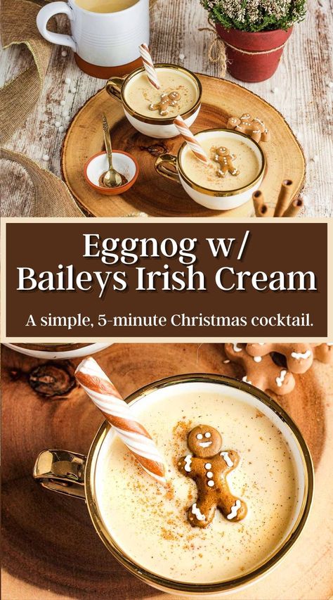 Baileys Recipes Drinks, Baileys Drinks, Eggnog Cocktail, Eggnog Drinks, Christmas Drinks Recipes, Christmas Drinks Alcohol, Baileys Recipes, Yummy Alcoholic Drinks, Eggnog Recipe