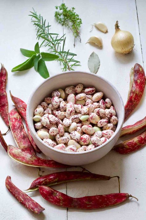 In this simple how-to guide you will find all you need to know to cook borlotti aka cranberry beans both fresh and dried to use in a variety of recipes. #borlottibeans #cranberrybeans #freshbeans #driedbeans #howtoguide #kitchentips #kitchenhacks Fresh Cranberry Beans Recipe, Cranberry Beans Recipe, Allotment Recipes, Borlotti Beans, Beans In Crockpot, Cranberry Beans, Kitchen Larder, Cooking Dried Beans, Make Hummus