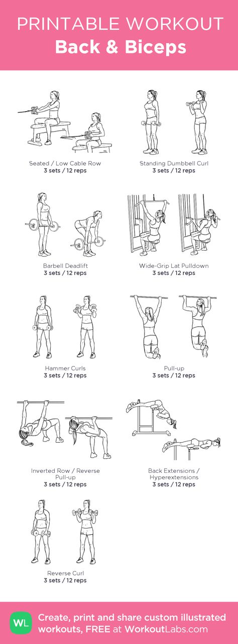 Back & Biceps workout | Posted By: CustomWeightLossProgram.com Biceps Femoris Workout, Chest Supported Dumbbell Row, Back And Bicep Cable Workout, Back And Bicep Workout Smith Machine, Incline Curls Biceps, Strengthening Workouts, Back Biceps Workout, Bicep Workout Gym, Exercise Without Weights