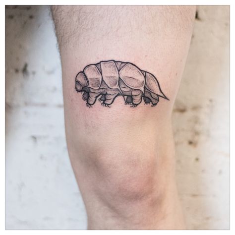 Water Bear Tattoo, Microbiology Tattoo, Tardigrade Tattoo, Cute Tardigrade, Biology Tattoo, Geometric Bear Tattoo, Scientific Tattoo, Nature Sleeve, Flower Tattoo On Ribs